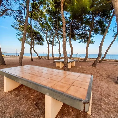 Comfortable In With Shared Pool * Alcanar